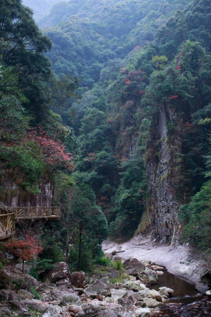 救援鹦鹉